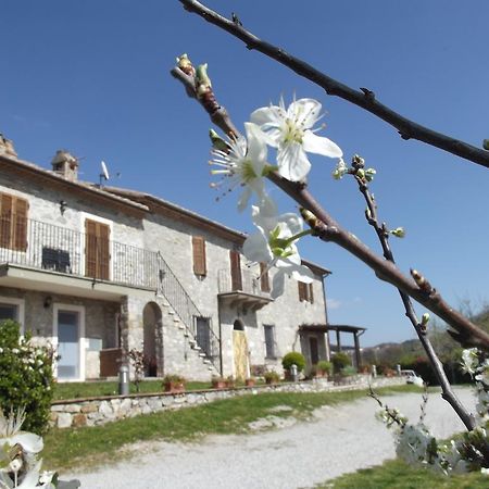 Agriturismo La Conserva Rocchette di Fazio Exteriér fotografie