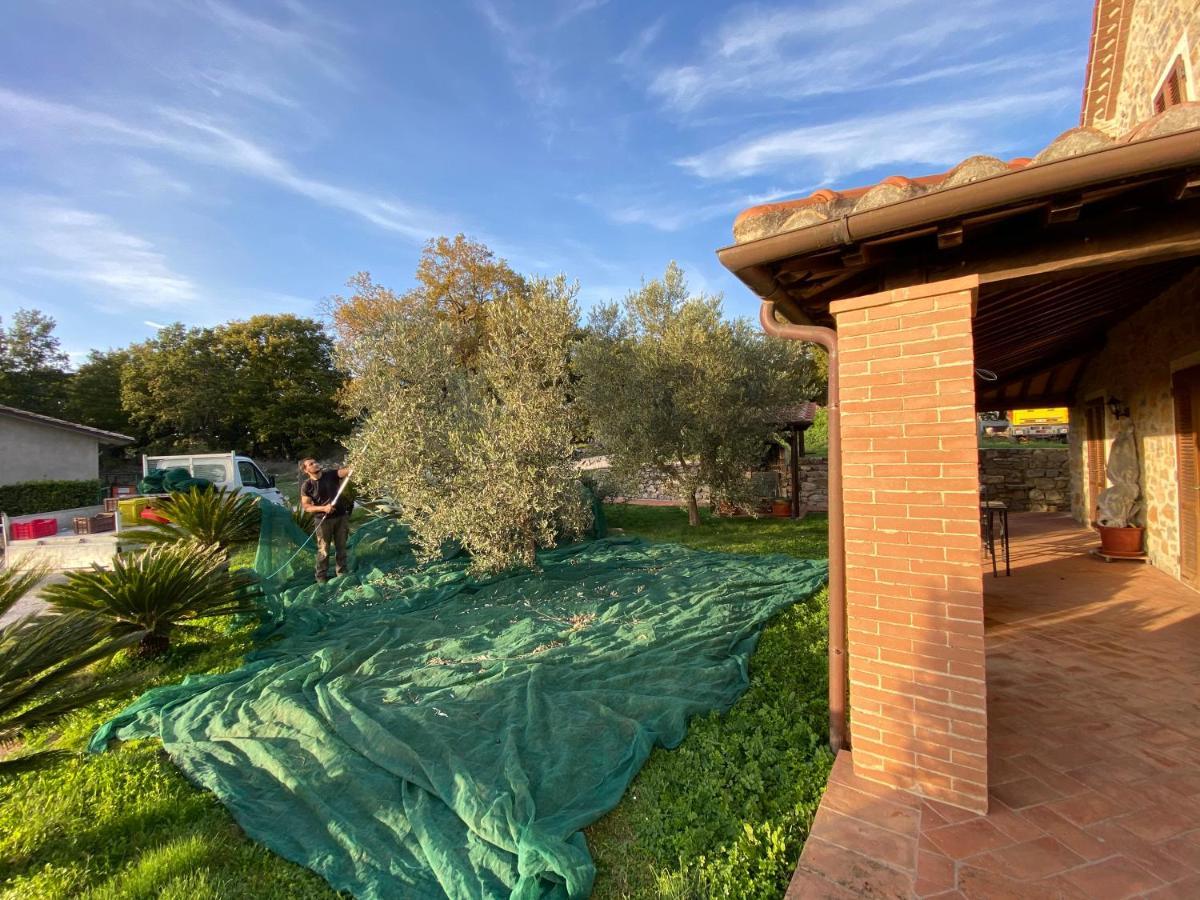 Agriturismo La Conserva Rocchette di Fazio Exteriér fotografie