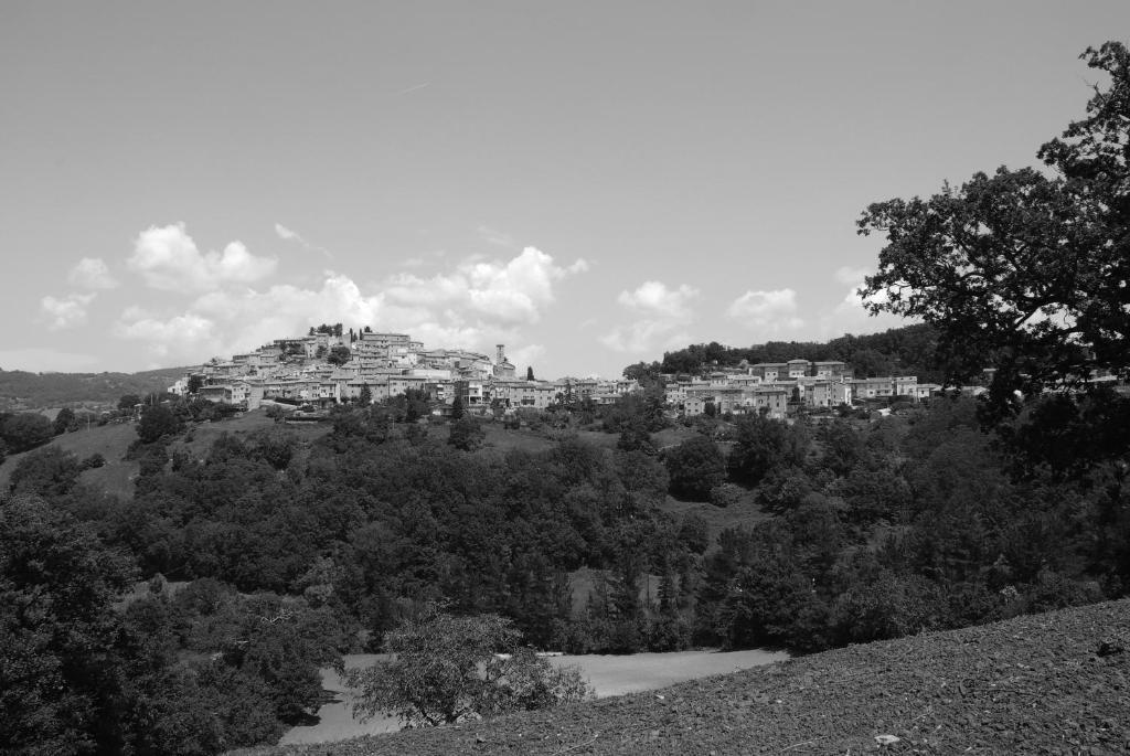 Agriturismo La Conserva Rocchette di Fazio Exteriér fotografie