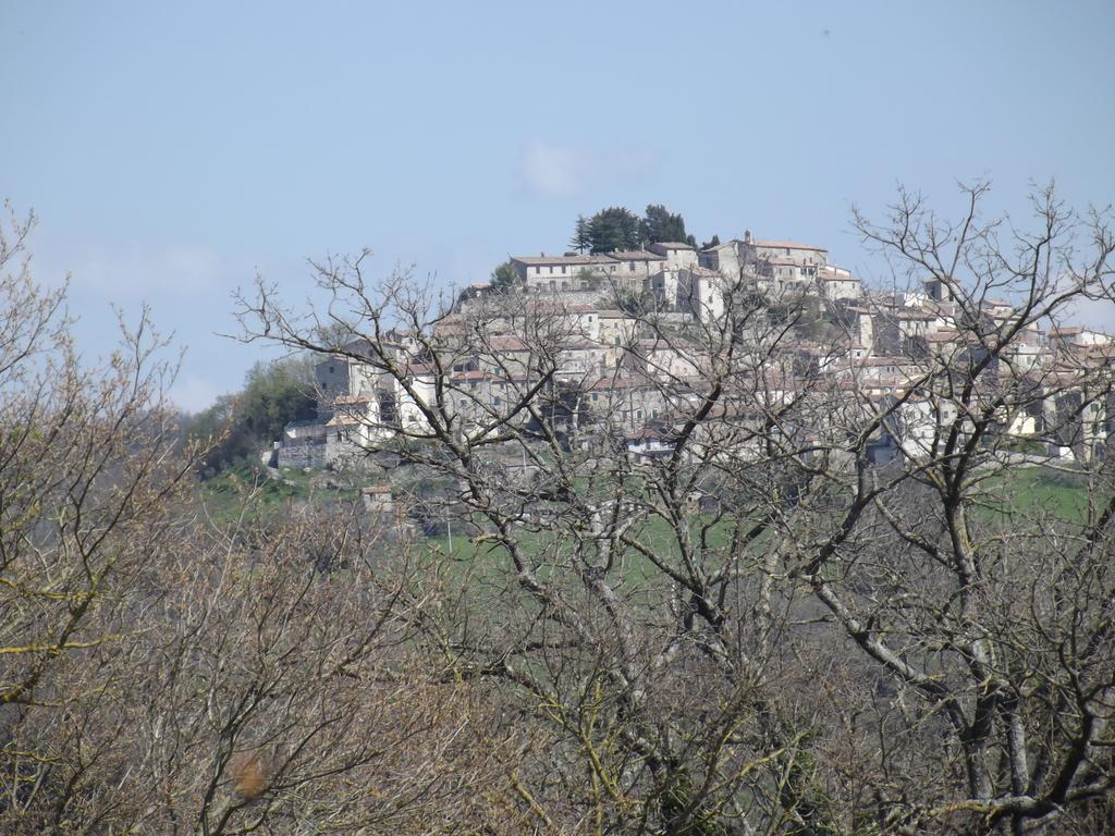 Agriturismo La Conserva Rocchette di Fazio Exteriér fotografie