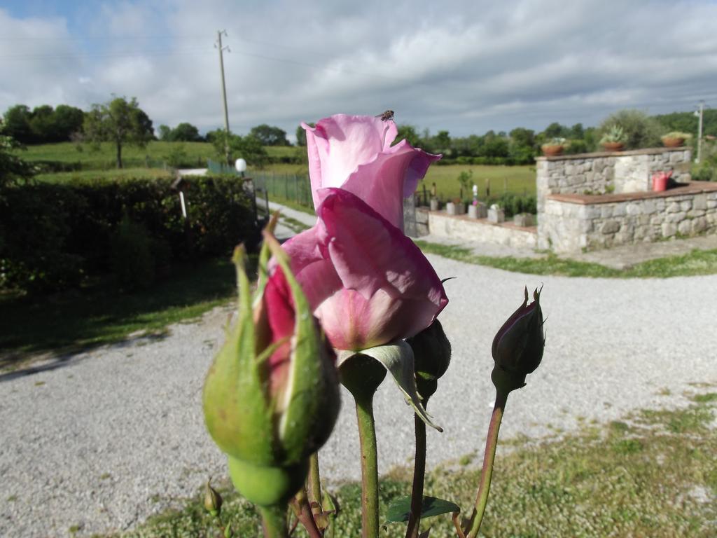 Agriturismo La Conserva Rocchette di Fazio Exteriér fotografie