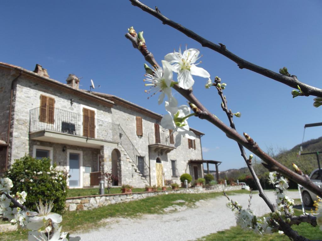 Agriturismo La Conserva Rocchette di Fazio Exteriér fotografie